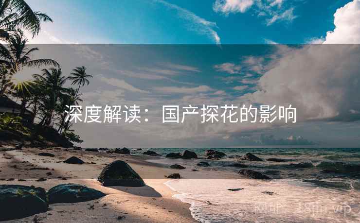 深度解读：国产糖心vlog的影响