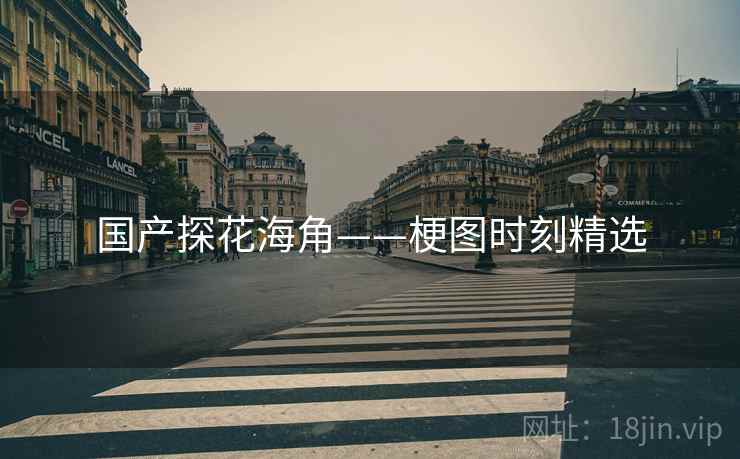 国产糖心vlog——梗图时刻精选